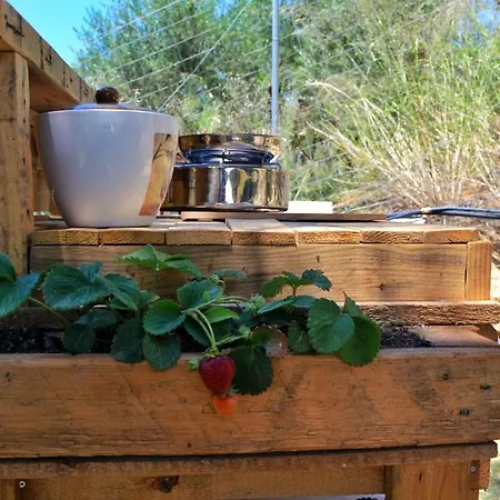 Glamping Canvas Tent In Chania Wild Cretan West