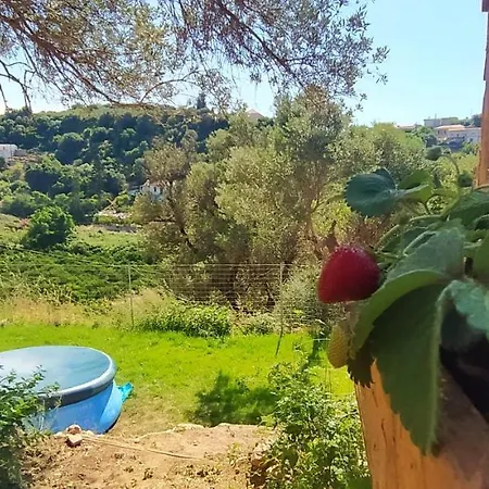 Glamping Canvas Tent In Chania Wild Cretan West Gerani (Chania)