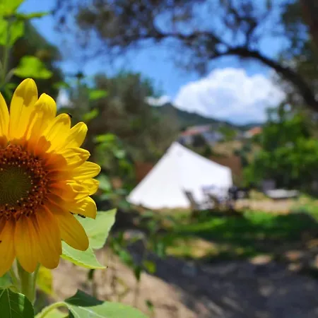 Luxuszelt Glamping Canvas Tent In Chania Wild Cretan West Gerani (Chania)